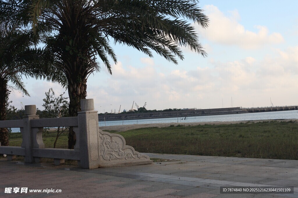 岸边棕榈树与开阔景致