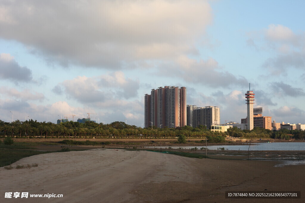 城郊黄昏景色高楼与湿地