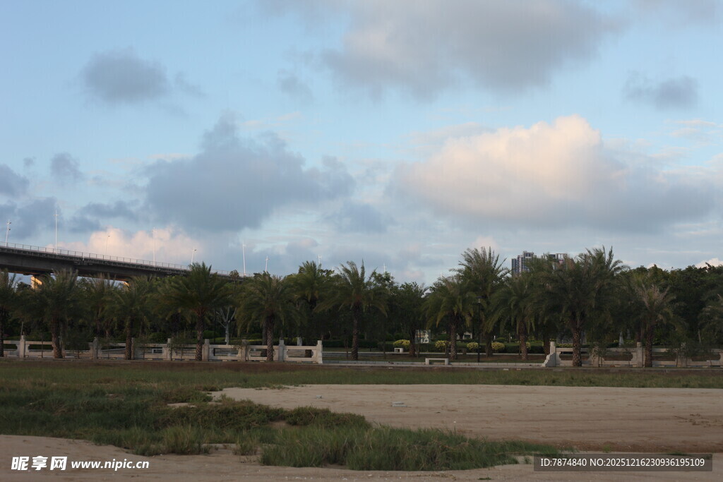 黄昏下的开阔户外风景