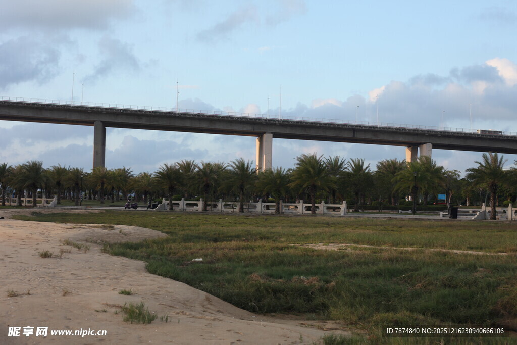 城郊高架桥与开阔草地景观