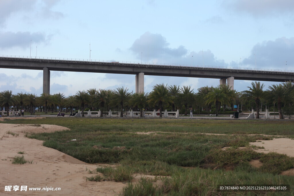 高架桥下的开阔田野景观