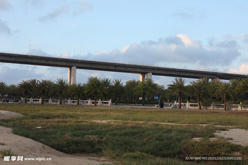 高架桥横跨开阔草地
