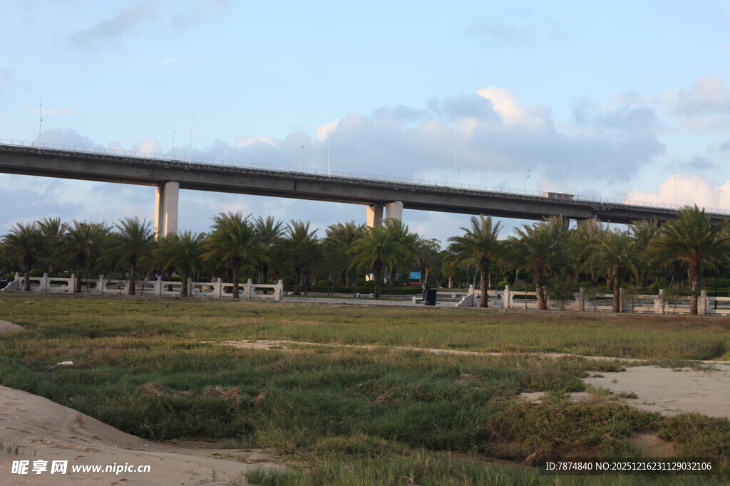 城郊高架桥与开阔草地景观