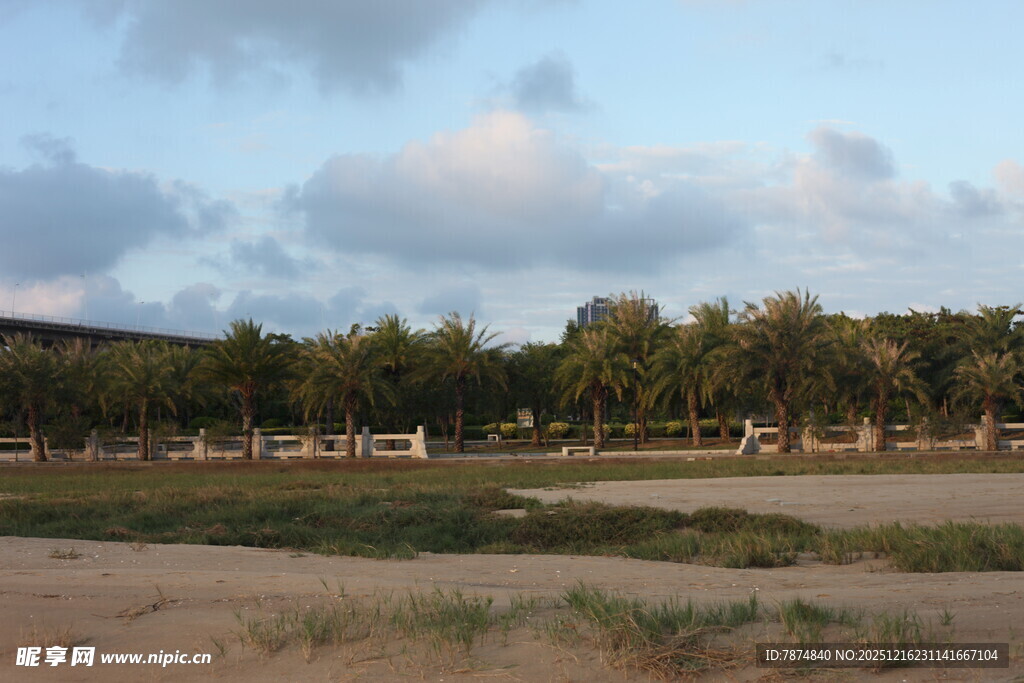 田野边的树木与天空景色