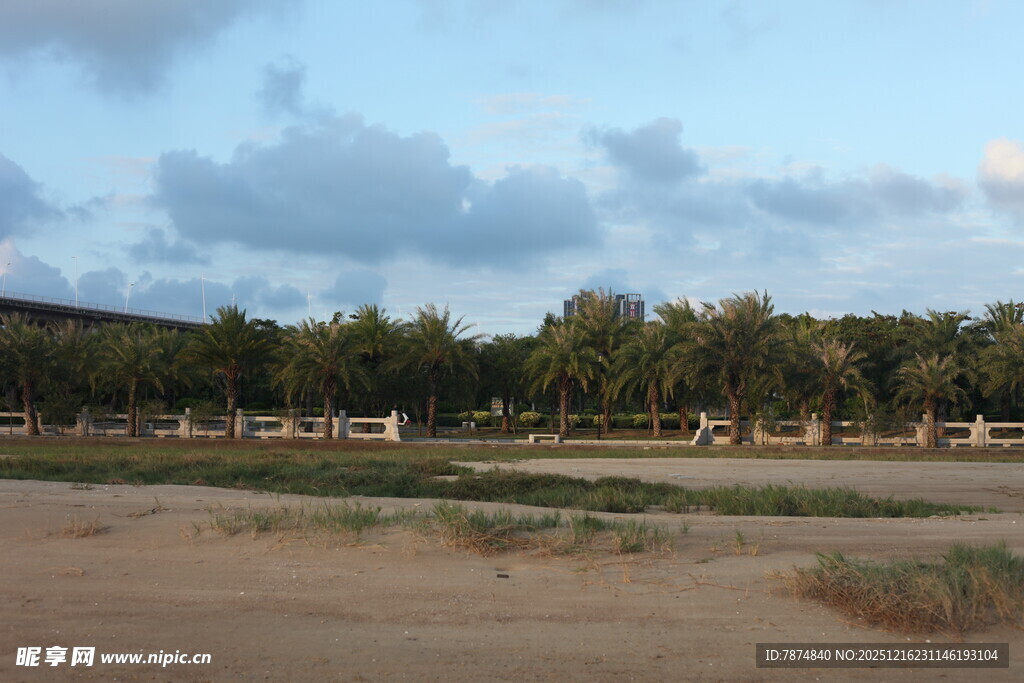 郊外开阔地与树木景观