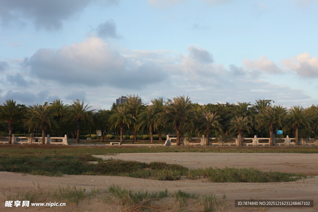 黄昏下的田野与树林景观