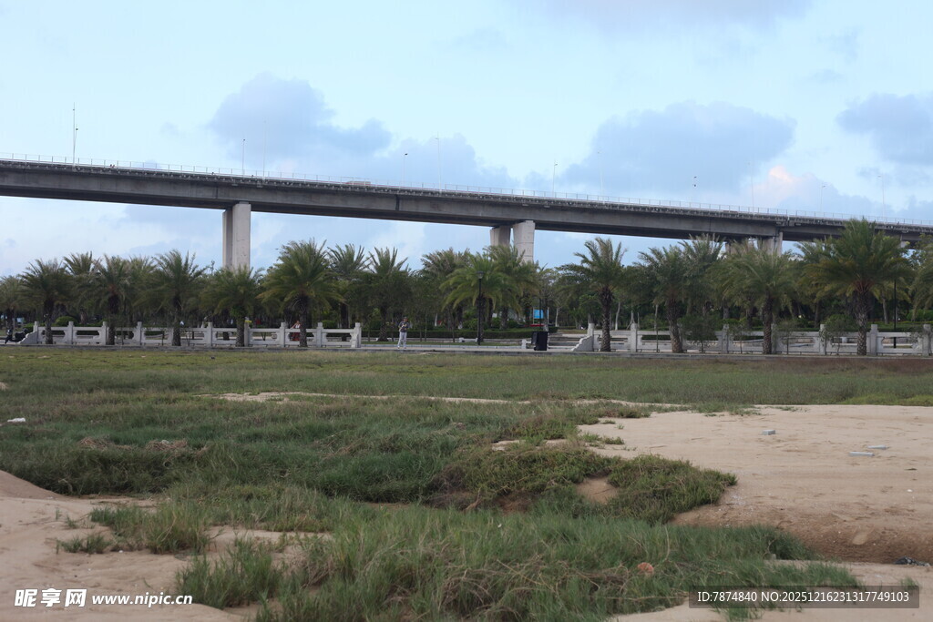 高架桥畔的开阔绿地景观