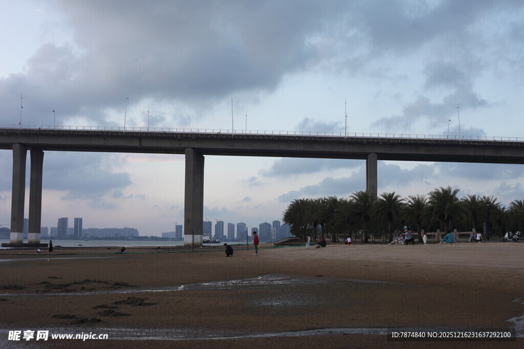 城市高架桥横跨开阔地带
