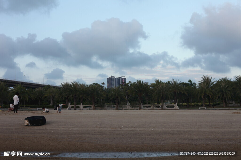 海滩远景天空与树木景观