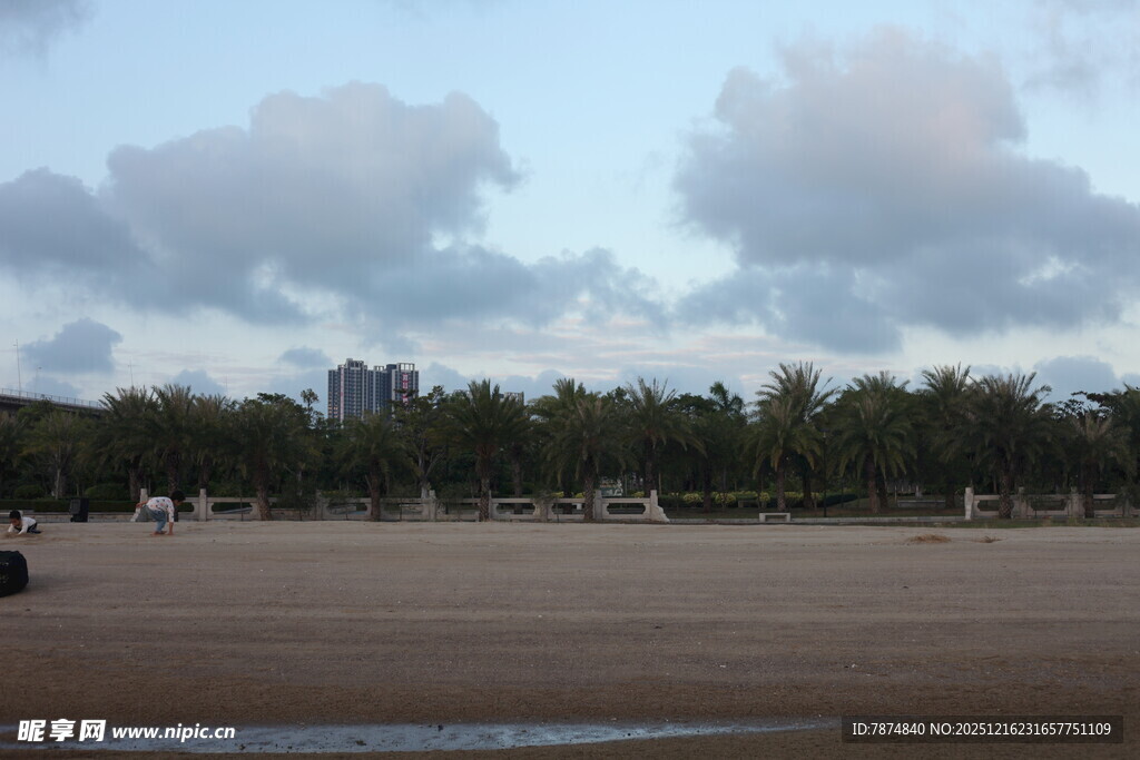 黄昏下的空旷场地与树木