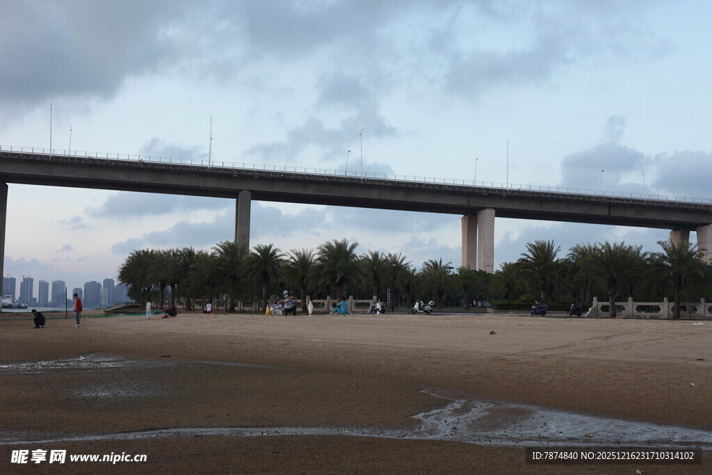 海滨大桥下的开阔景致