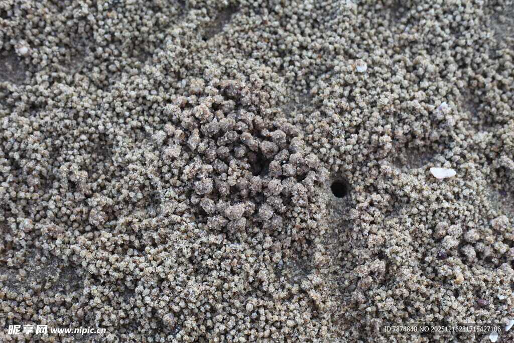 细腻土壤纹理特写