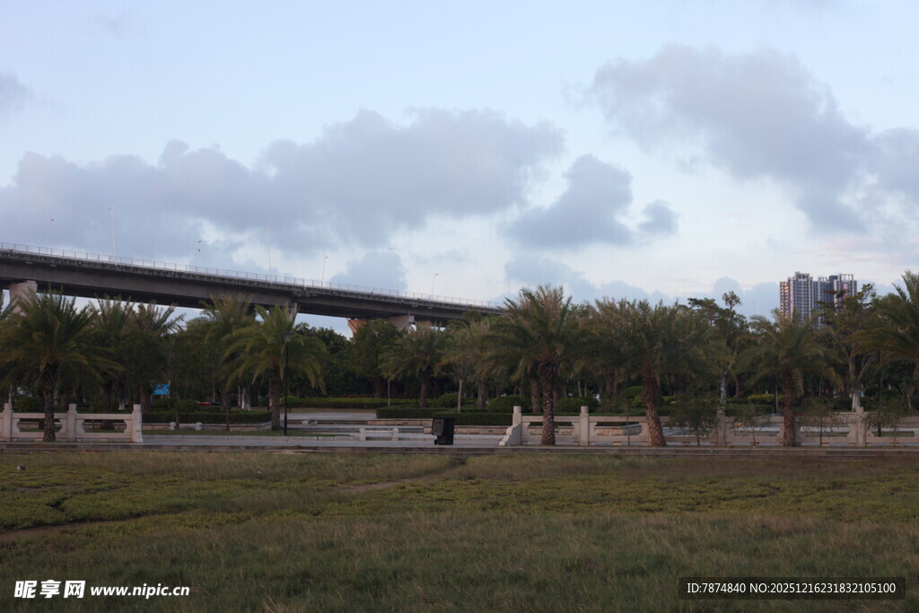 城郊草地与高架桥景象