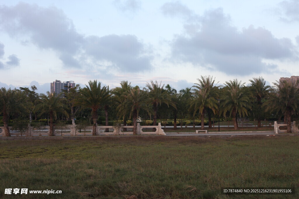 郊外开阔草地与远处树林
