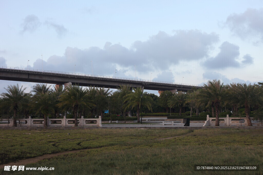 高架桥横跨开阔绿地