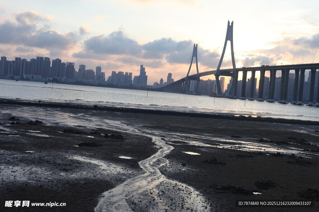 江边大桥与城市天际线