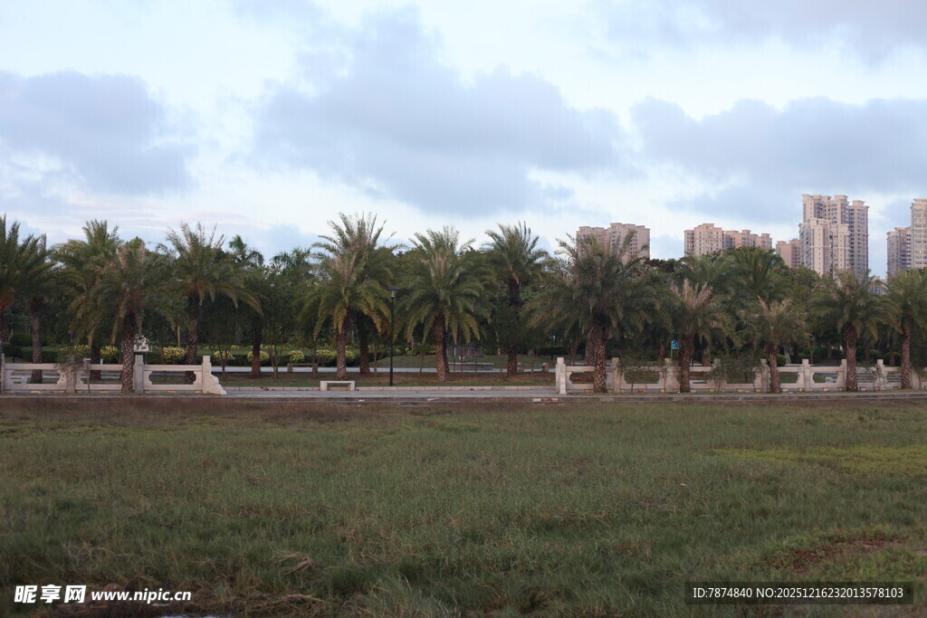 城郊草地与远处高楼景观