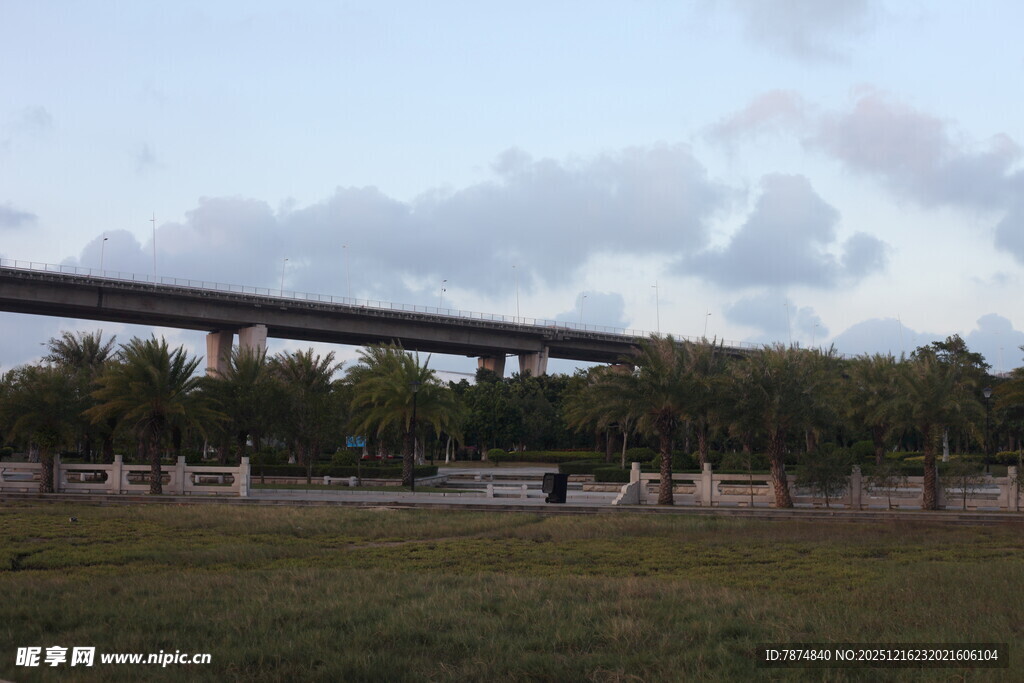 高架桥横跨开阔绿地