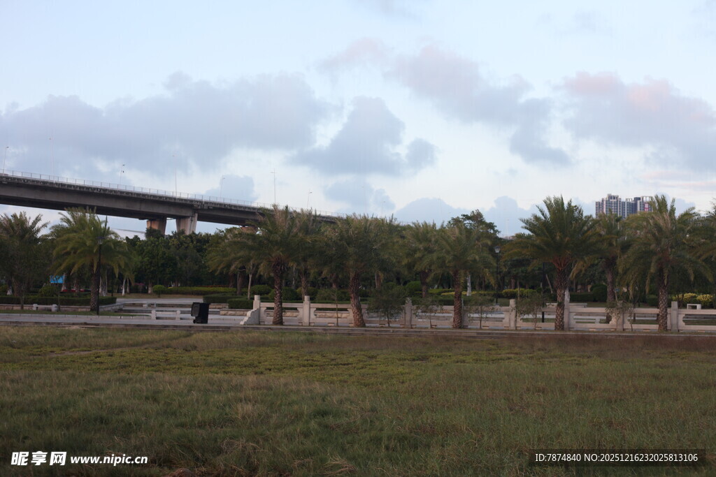 户外草地与高架桥景观