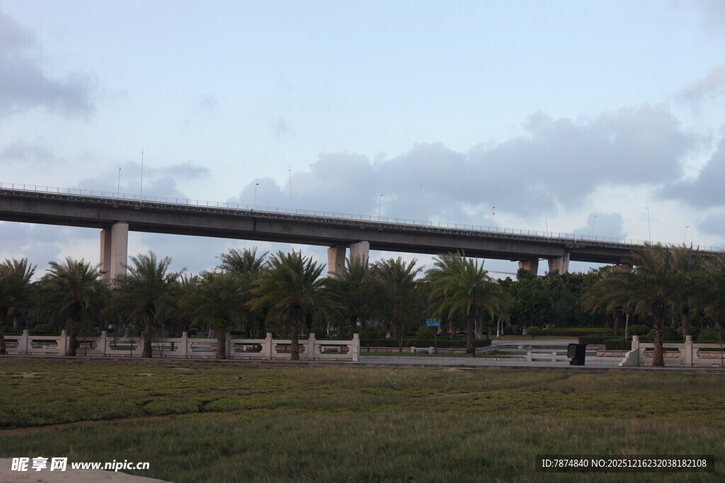 高架桥横跨开阔绿地