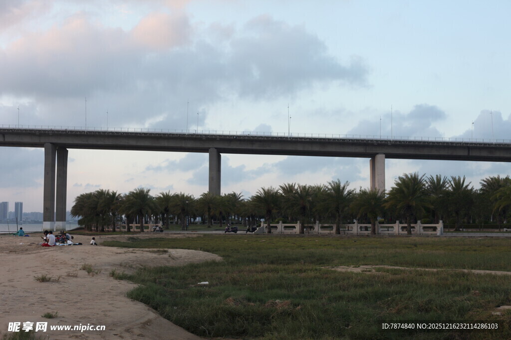 黄昏下的高架桥与绿地