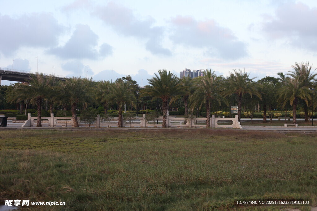 户外开阔草地与树木景观
