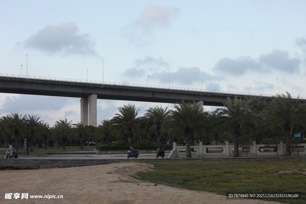 城郊桥梁下的开阔风景