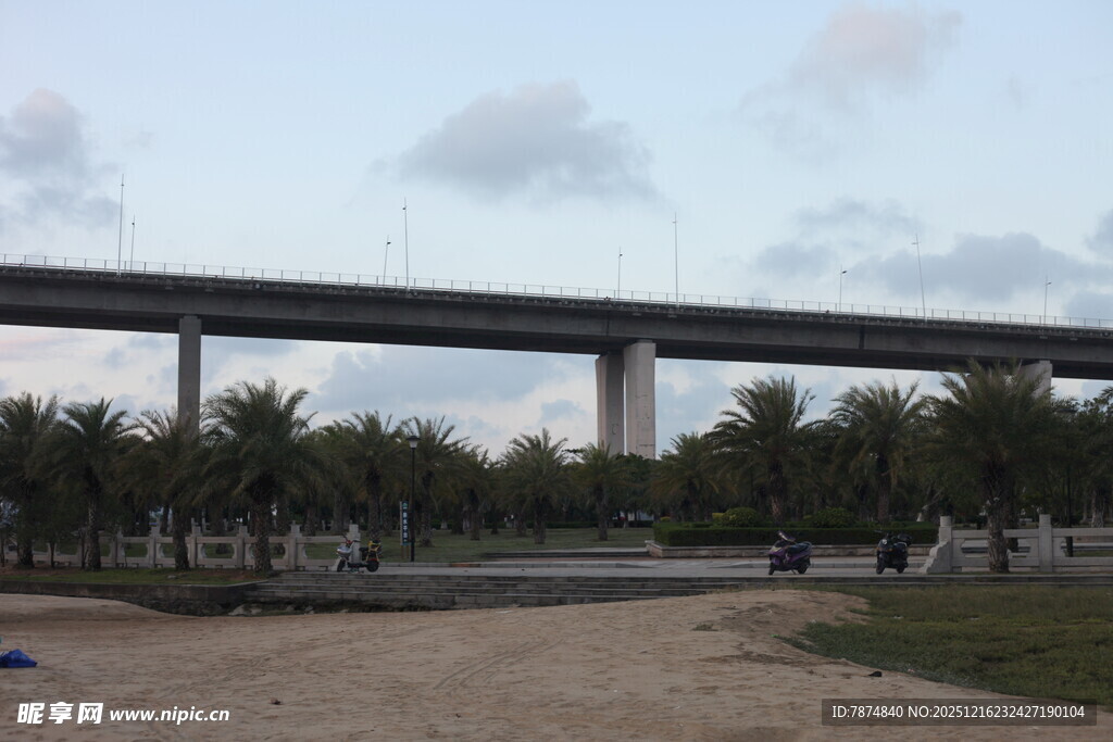 城市中的高架桥与绿植景观