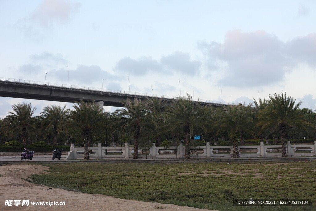 城郊公路旁的绿植与高架桥