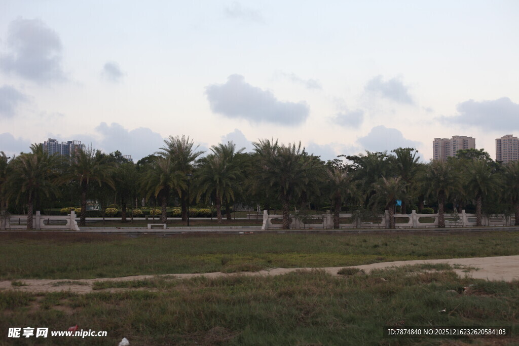 城郊开阔地风景
