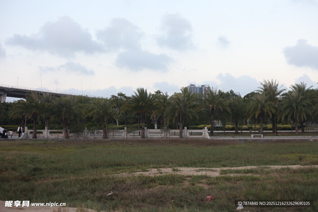 户外开阔草地与树木景观