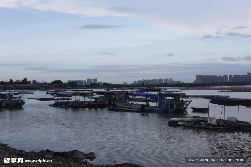 江边停泊的众多船只