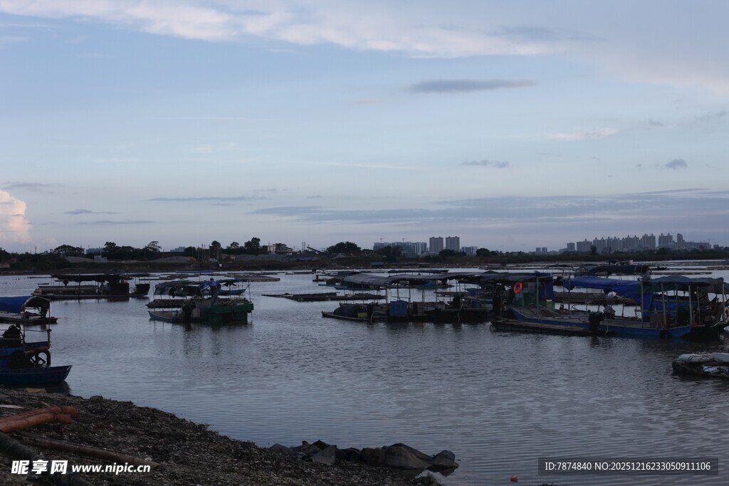 宁静港湾中的停泊船只