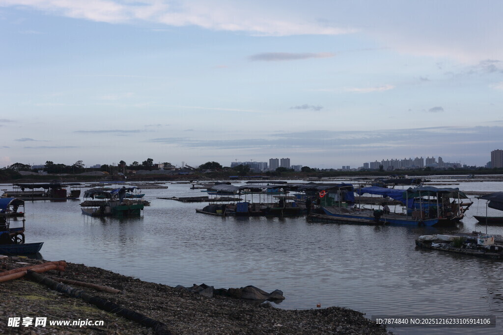 宁静港湾中的停泊船只