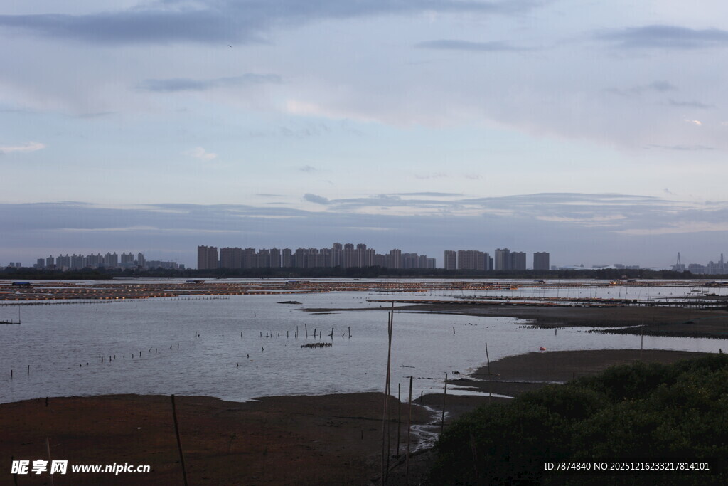 河畔城市远景风光