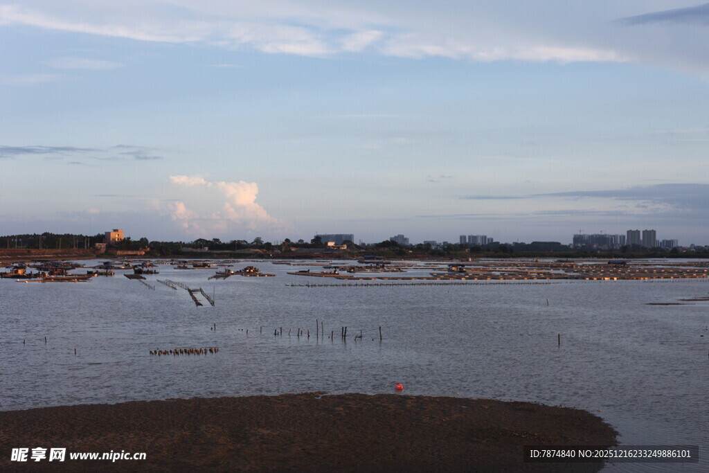 湖畔飞鸟与黄昏美景