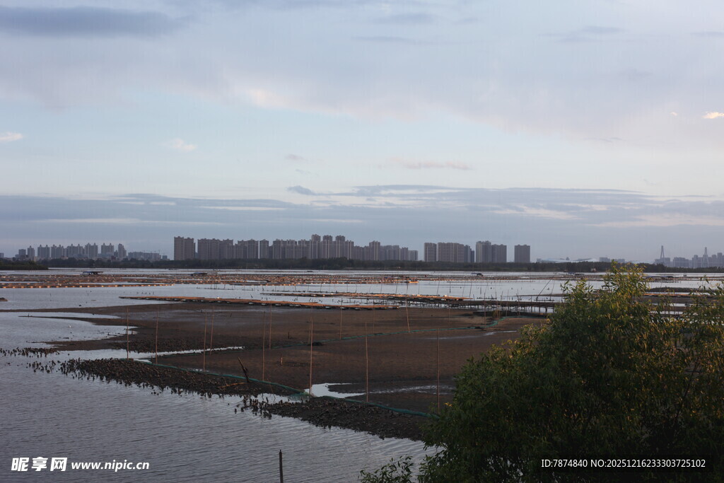 河畔城市景观远景