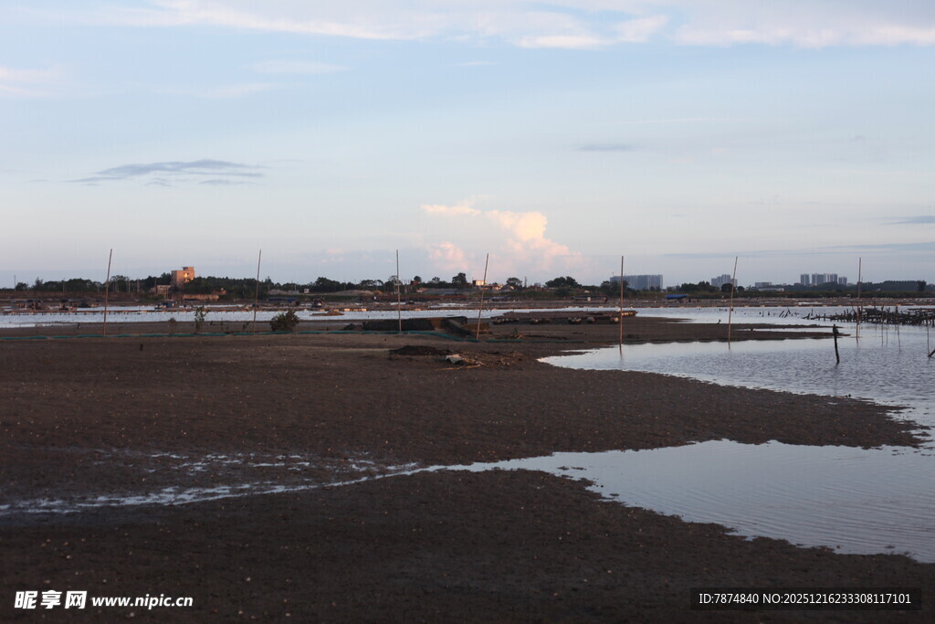 黄昏下的河岸湿地景观