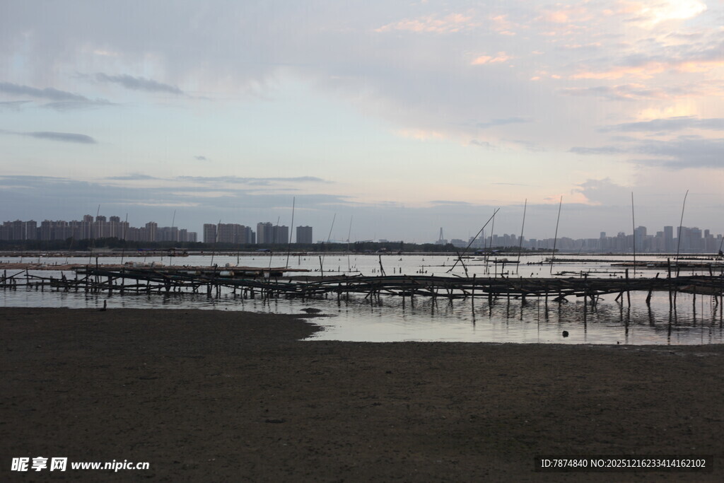 黄昏下的宁静水边景致
