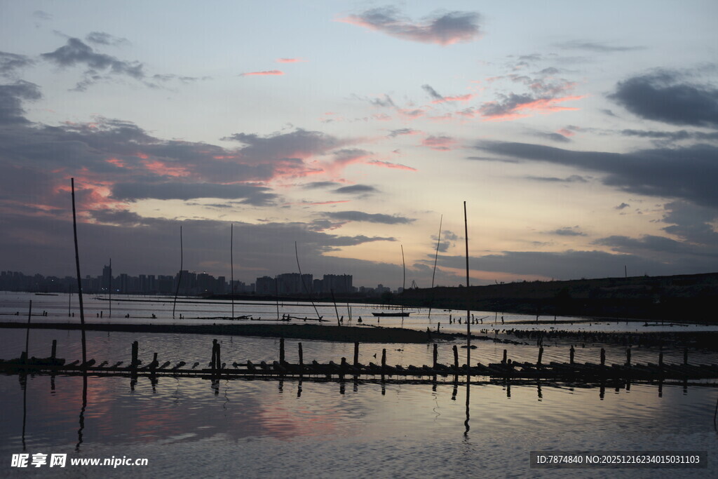 黄昏海港静谧水面映霞光