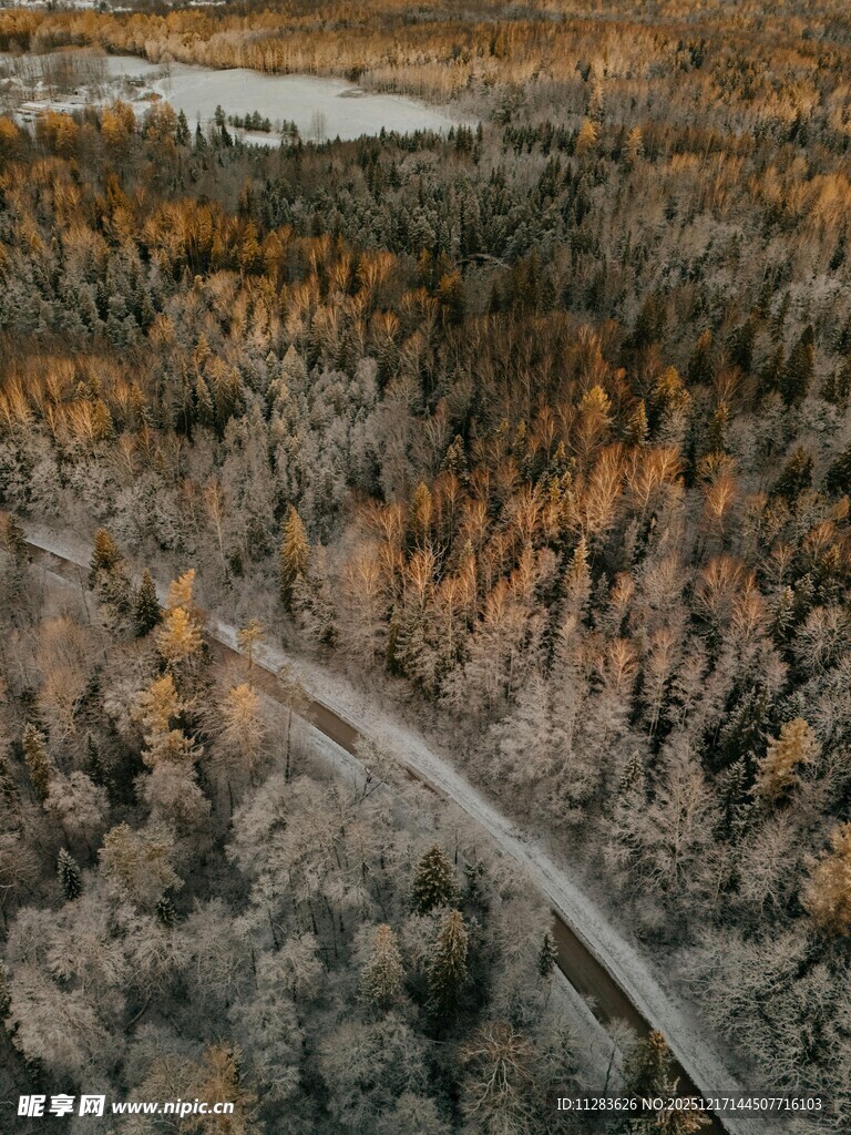 秋日林间蜿蜒公路美景