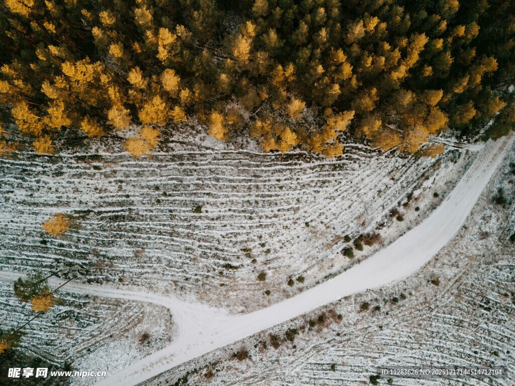雪覆山林间蜿蜒的公路