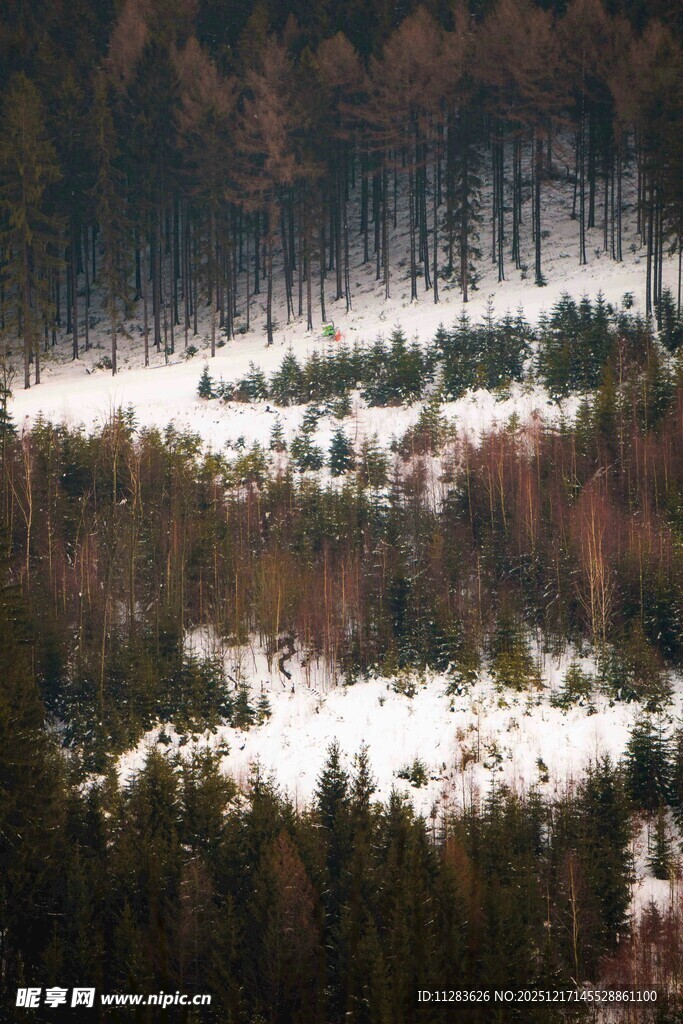 雪覆山林景观