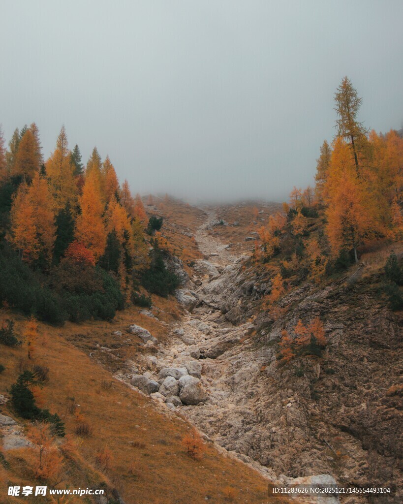 秋日山间溪流美景