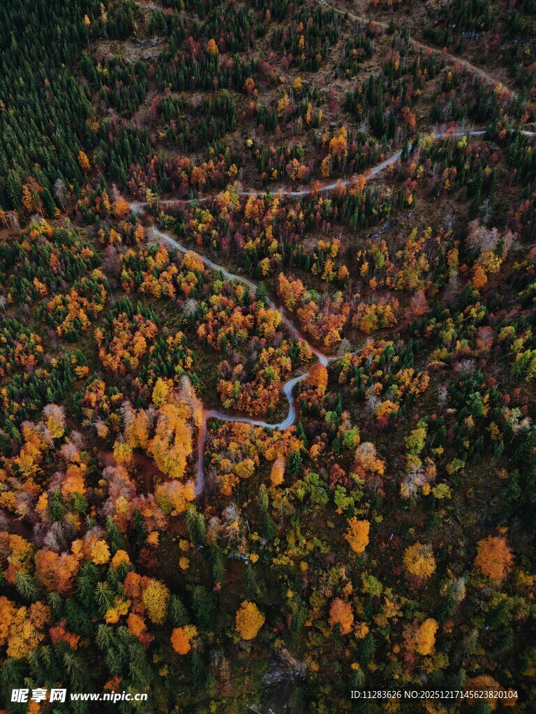 秋日山林斑斓景色