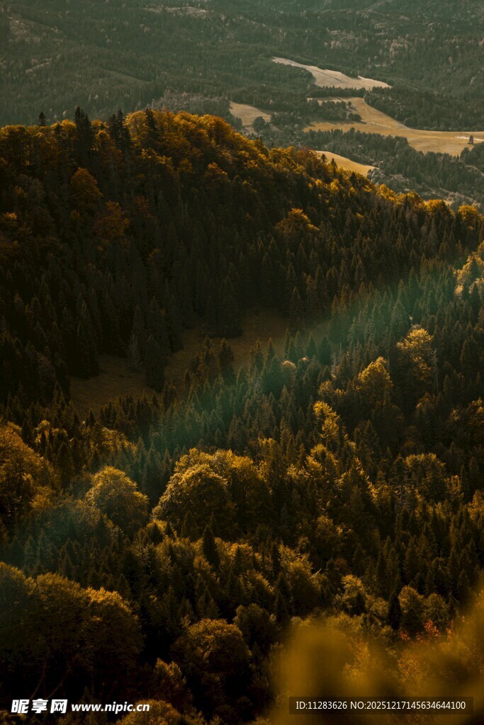 秋日山林美景