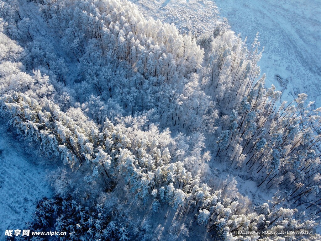 冬日雪覆山林绝美景观