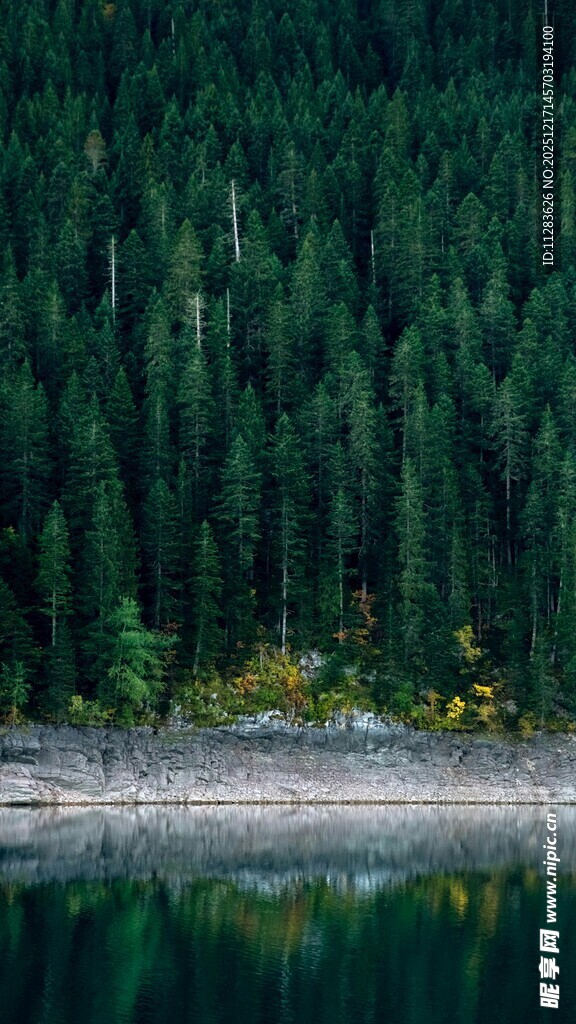 静谧湖畔森林倒影美景