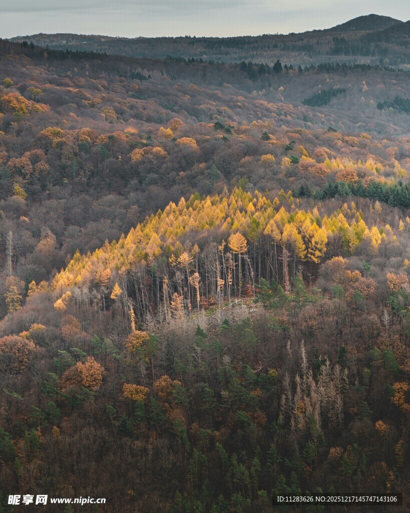 秋日山林斑斓美景