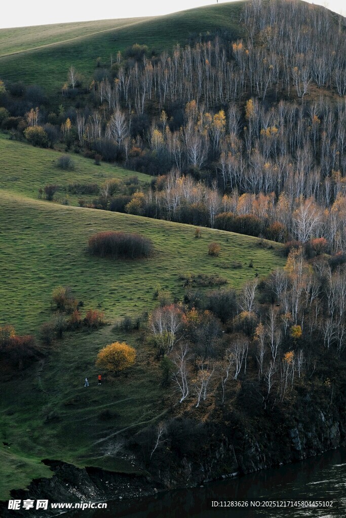 秋日山坡树林俯瞰美景